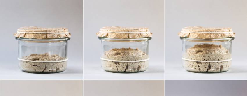 Start Your Sourdough Starter with Sarah Leitner