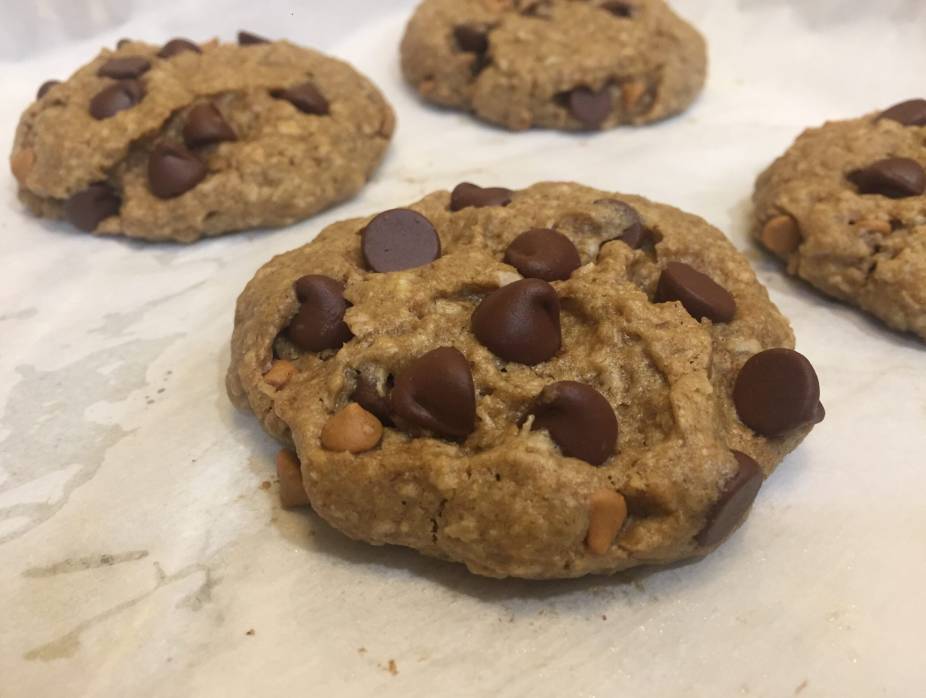 oatmeal chocolate chip cookie