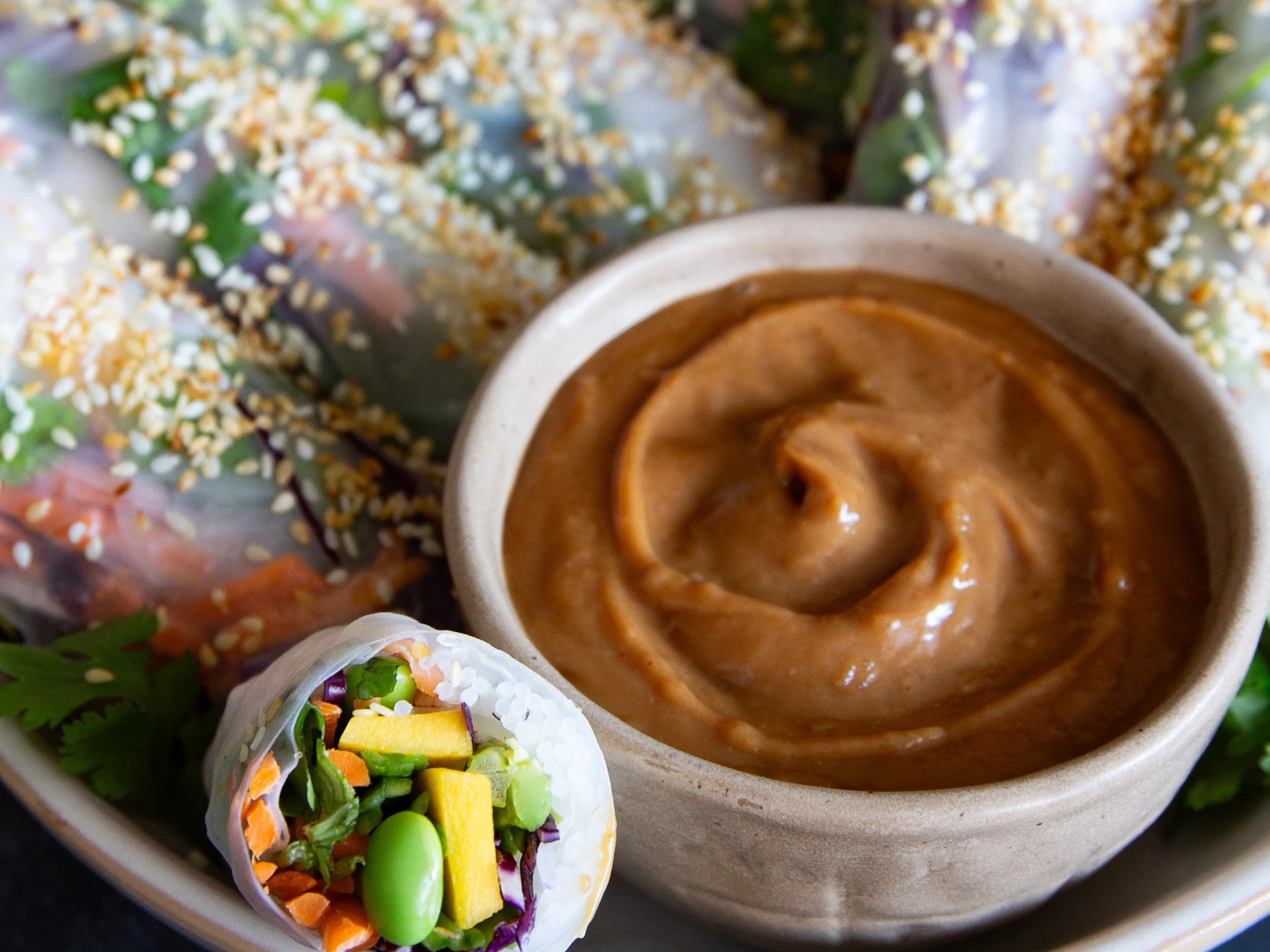 Rainbow Salmon Rice Paper Rolls with Peanut Sauce