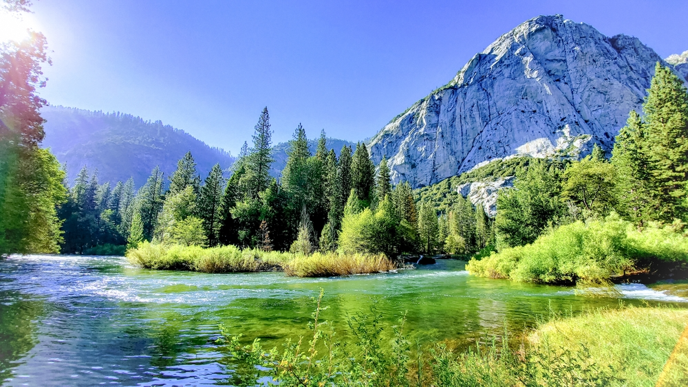 Fleishigs Travels: National Parks