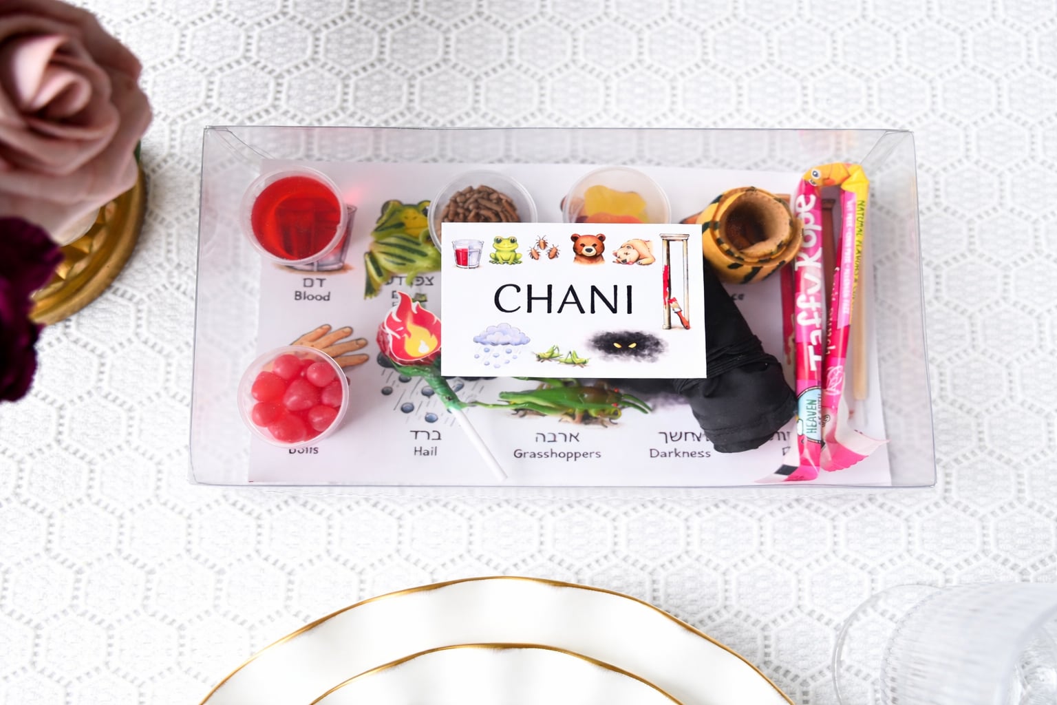 The Ultimate Makkos Box: A Fun, Hands-On Seder Activity for Kids