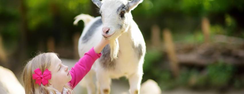 Our Favorite Sukkot Chol Hamoed Trip Ideas