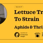 Lettuce Train To Strain