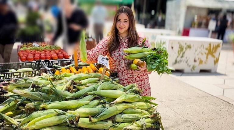 shushy turin farmers market